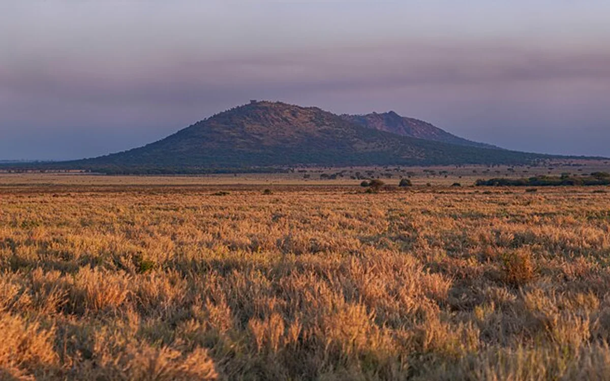Serengeti