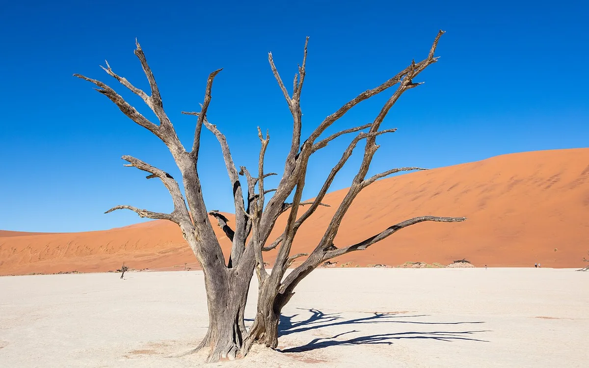 Sossusvlei